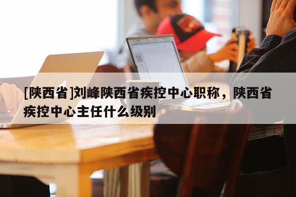 [陕西省]刘峰陕西省疾控中心职称，陕西省疾控中心主任什么级别