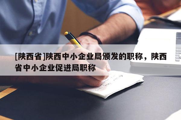 [陕西省]陕西中小企业局颁发的职称，陕西省中小企业促进局职称